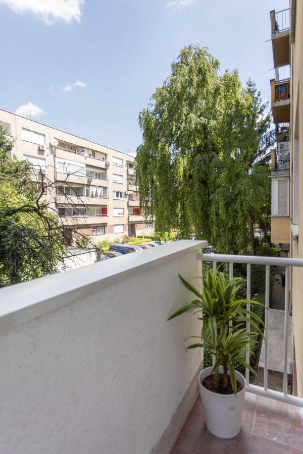 2Bdr Apartment With Balcony Near Maksimir Záhřeb Exteriér fotografie